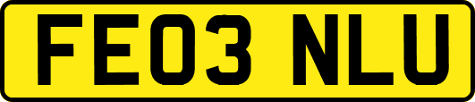 FE03NLU
