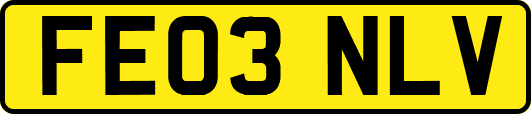 FE03NLV