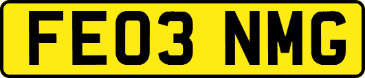 FE03NMG