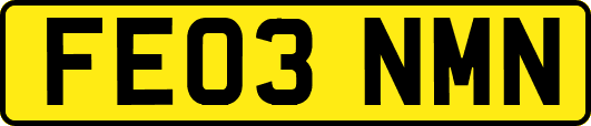 FE03NMN