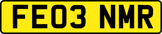 FE03NMR