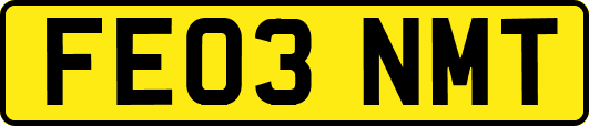 FE03NMT