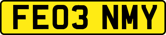 FE03NMY
