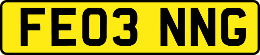 FE03NNG
