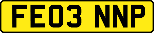 FE03NNP