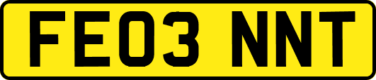 FE03NNT