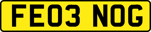 FE03NOG