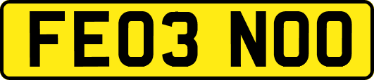 FE03NOO