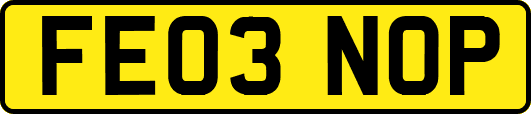 FE03NOP