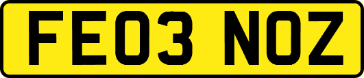FE03NOZ