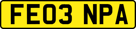 FE03NPA