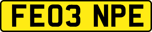 FE03NPE