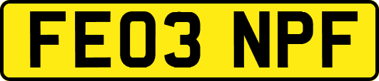FE03NPF
