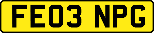 FE03NPG