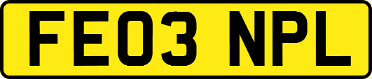 FE03NPL