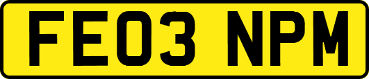 FE03NPM