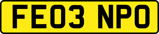 FE03NPO