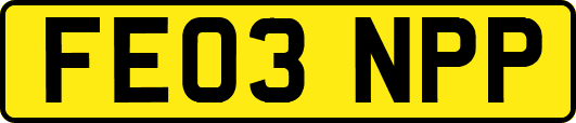 FE03NPP