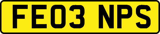 FE03NPS