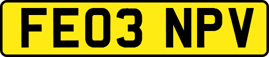 FE03NPV