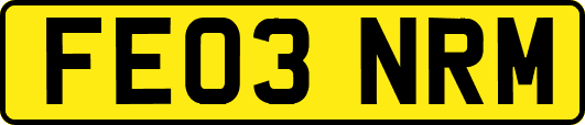 FE03NRM