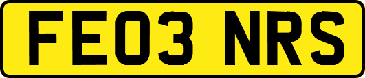 FE03NRS