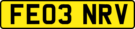 FE03NRV