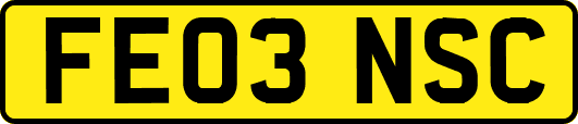 FE03NSC
