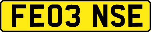 FE03NSE