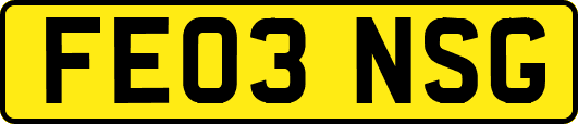 FE03NSG