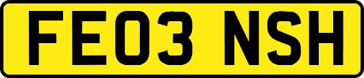 FE03NSH