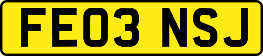 FE03NSJ