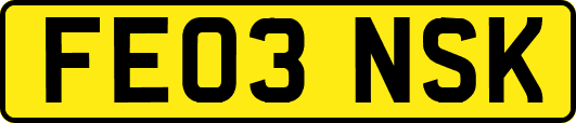 FE03NSK