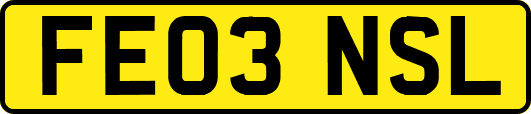 FE03NSL