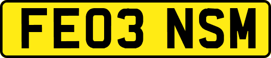 FE03NSM