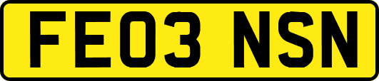 FE03NSN