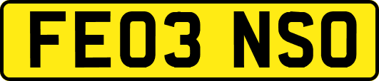 FE03NSO