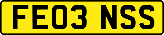 FE03NSS