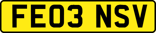 FE03NSV