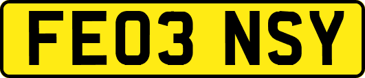 FE03NSY
