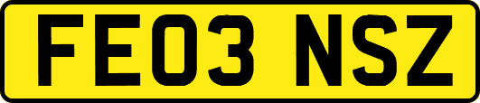FE03NSZ