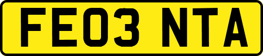 FE03NTA
