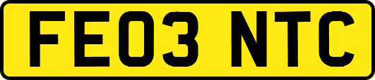FE03NTC