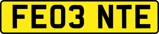 FE03NTE
