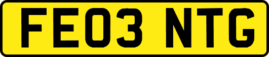 FE03NTG