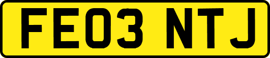 FE03NTJ