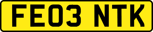 FE03NTK