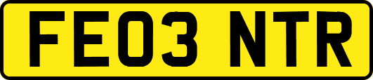 FE03NTR