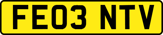 FE03NTV