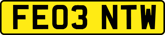 FE03NTW